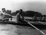 Plants: image 1 0f 4 thumb